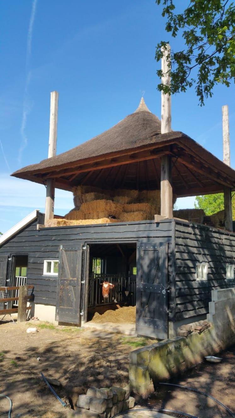 Landgoed Groot Boerle Bed & Breakfast Wijhe Екстериор снимка