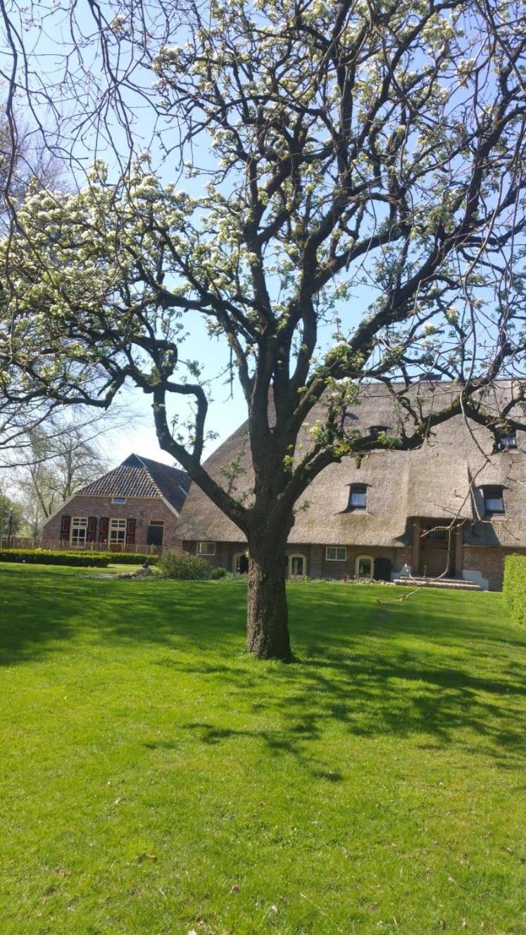 Landgoed Groot Boerle Bed & Breakfast Wijhe Екстериор снимка