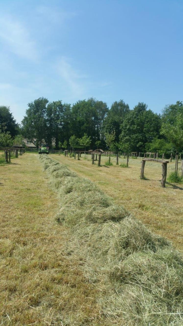 Landgoed Groot Boerle Bed & Breakfast Wijhe Екстериор снимка